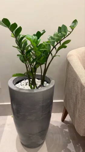 VASO DE PLANTAS COMPLETO