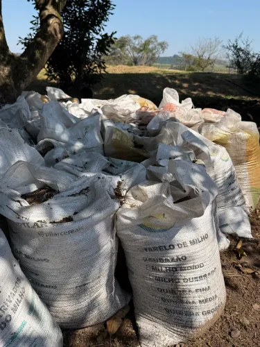 Esterco de Galinha Caipira Puro 20KG - Adubo Orgânico Solto