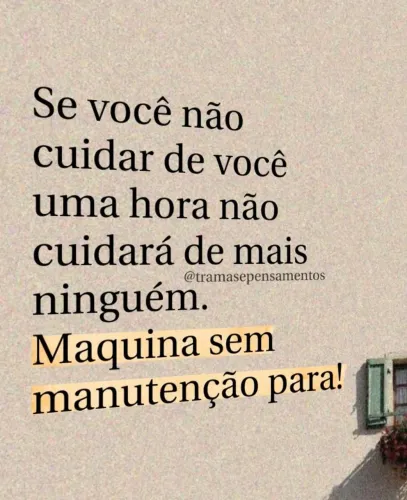 Vacina a domicílio cães e gatos
