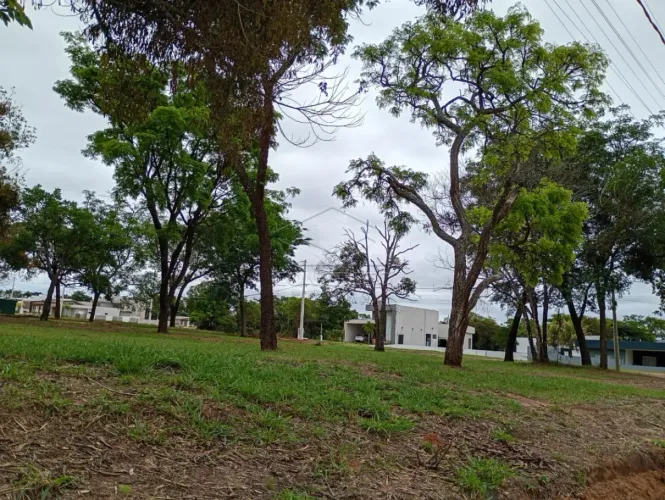 Terreno Condomínio em Pardinho