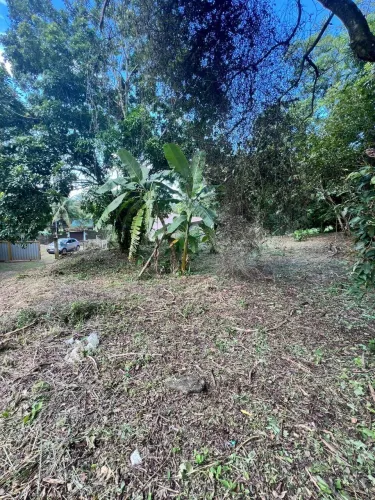 Terreno à Venda em São Sebastião no bairro da Enseada