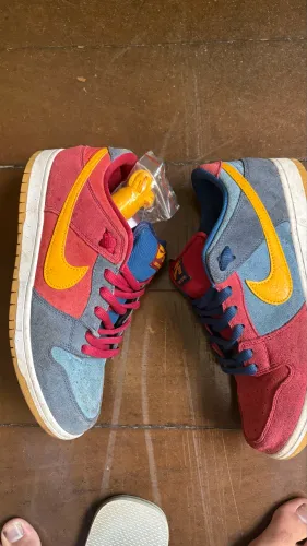 Dunk sb Barcelona