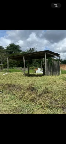 VENDE-SE TERRENO NO TENONÉ