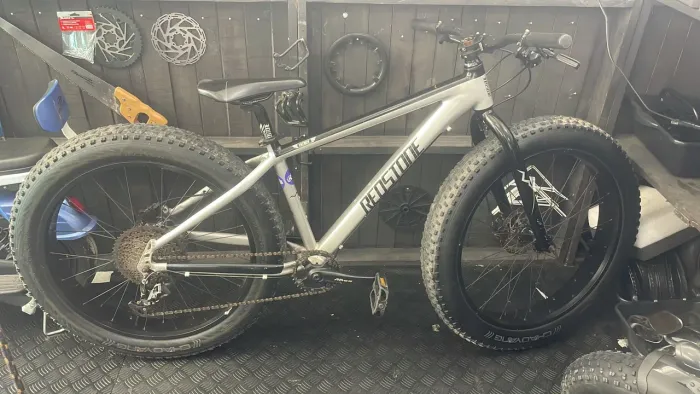 Bicicleta 29