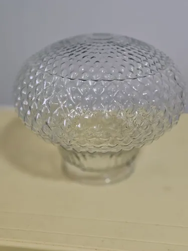 Cúpula de vidro bico de jaca