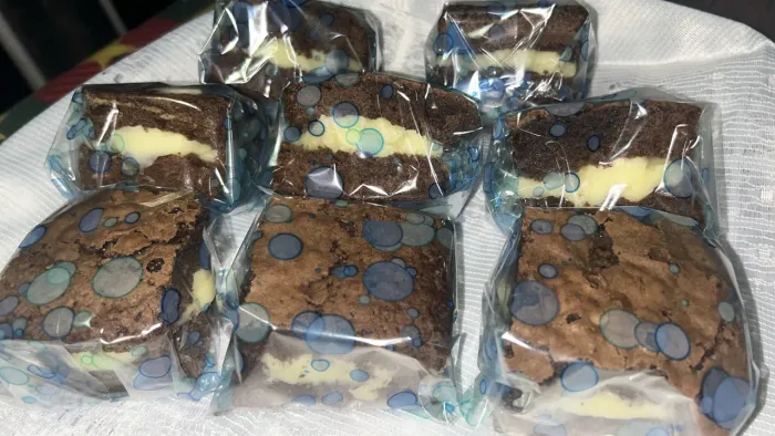 BROWNIE MAE E FILHA