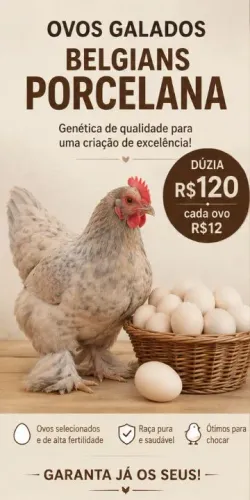 Ovos galados de Belgian Porcelana