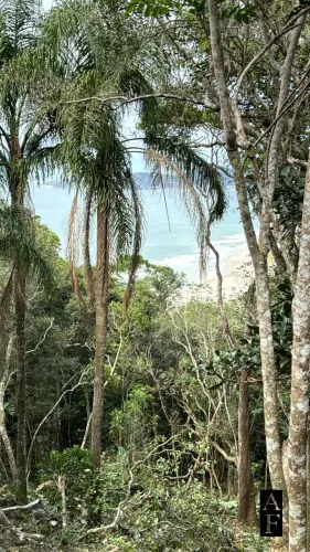 Terreno em Garopaba, Siriu