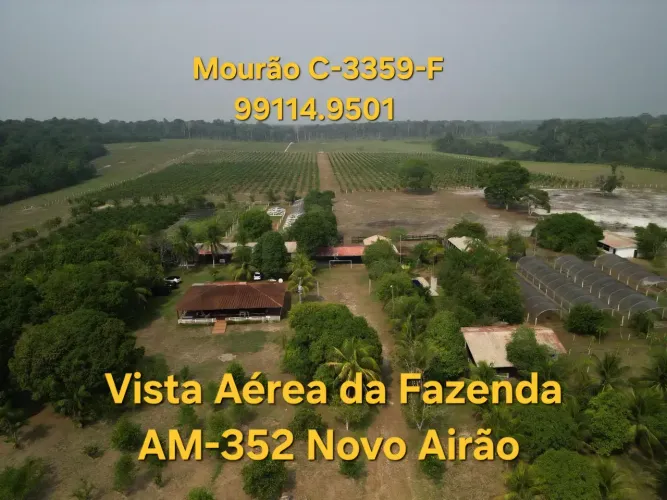 Espetacular Fazenda com 396 hectares no Km 35 da AM-352 Novo Airão. Documentada