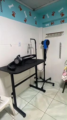 Kit para banho e tosa seminovo