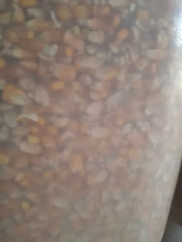 Milho saco 50 kg