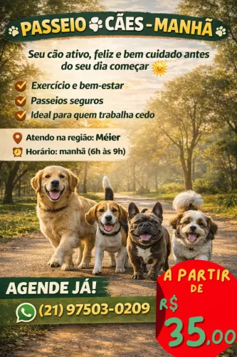 Passeio com cães pela manhã