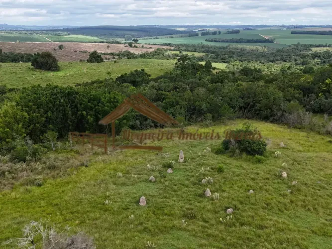 Fazenda com 100 alqueires na região de Itatinga-SP