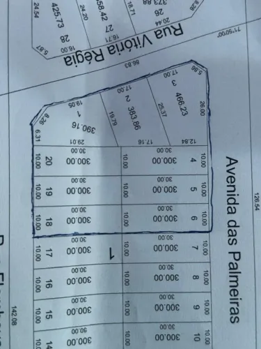 Ótimo Lote 300 m² Av. Das Palmeiras, Jardim dos Buritis - Aparecida de Goiania - GO, 250 m