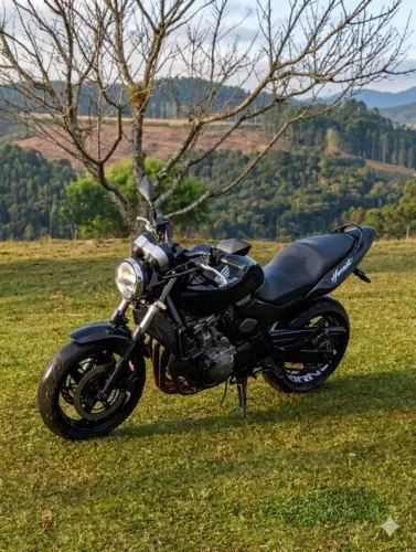CB 600 f