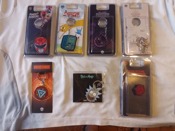 Lote de Chaveiros + Pin