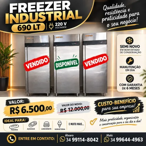 Freezer Industrial 