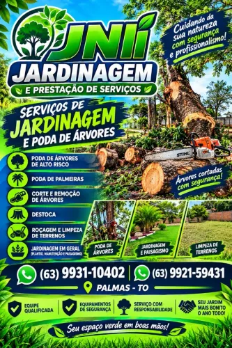 Poda de árvores palmas