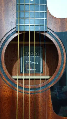 Violão top strinberg 