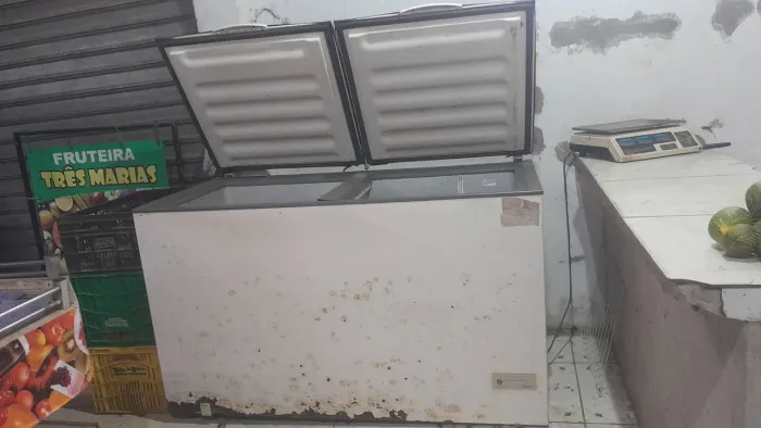 Freezer Electrolux