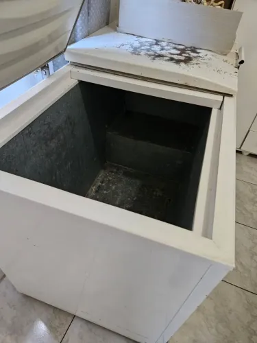 Freezer horizontal Electrolux 