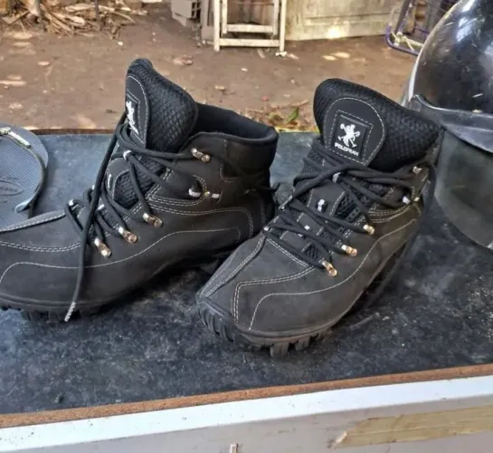Bota cat