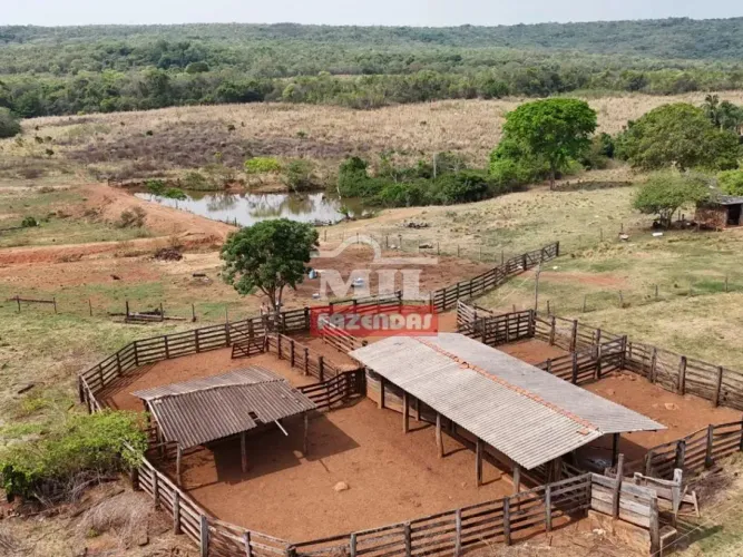 Fazenda 144 alqueires (696,96 hectares) Montes Claros - GO