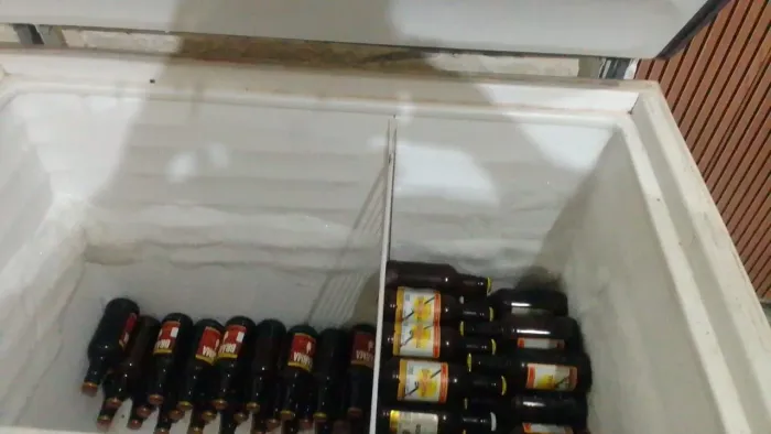 Freezer horizontal