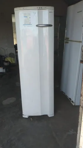 Freezer Electrolux 