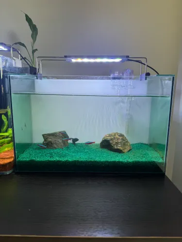 Aquário 20L