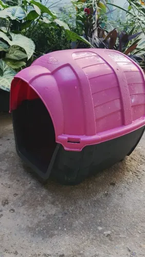 Casinha para Cão pequeno porte