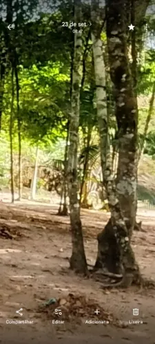 Terreno Localizado na vila São Raimundo município de bujaru