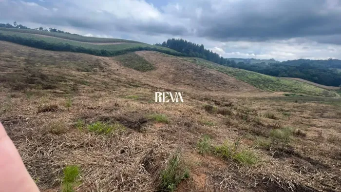 Terreno com Pinus em Agudos do Sul