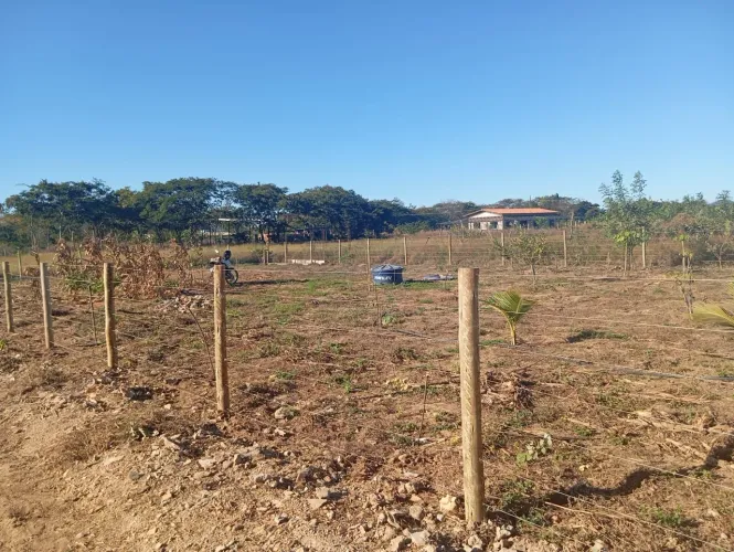Granja