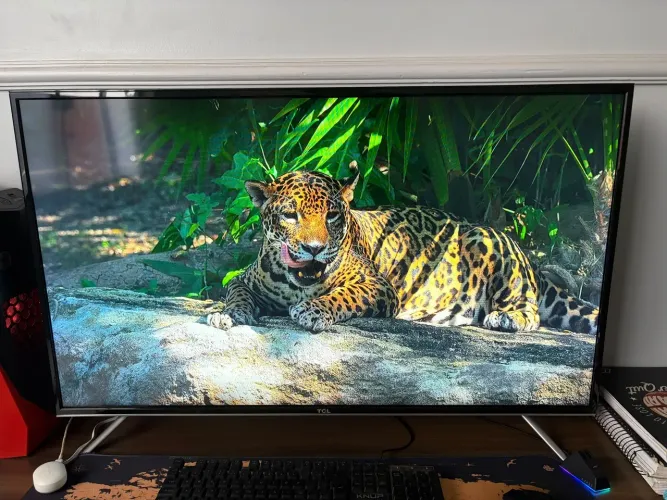 TV smart TCL 43 polegadas