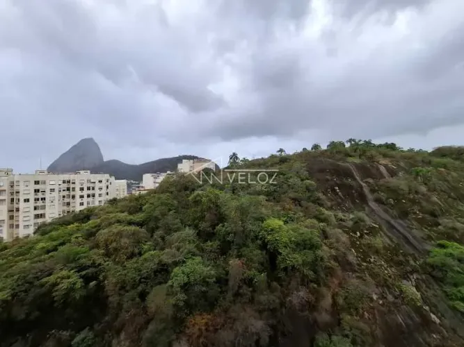 Apartamento : / Residencial / Flamengo