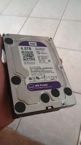 HD purple 4t