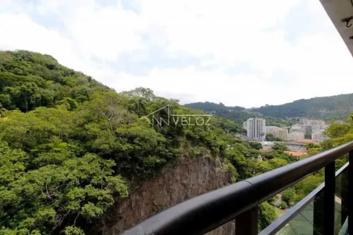 Apartamento : / Residencial / Laranjeiras