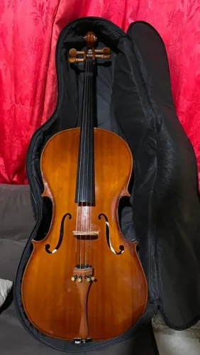 Violoncelo Hofma hce100 