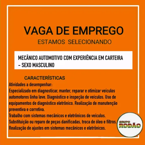 Mecânico automotivo para auto peças linha leve 