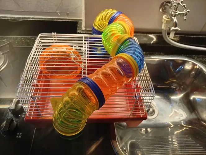 Gaiola Hamster