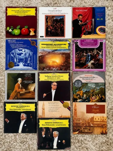 Discos de Vinil para Colecionador Impecáveis No Plástico