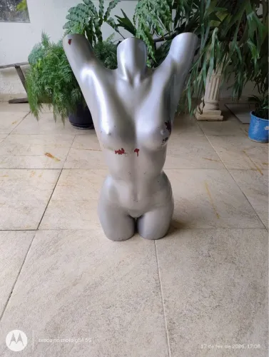 Manequim Meio Corpo Feminino
