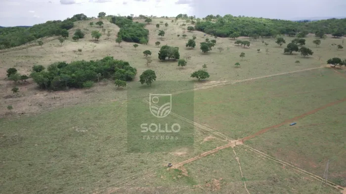 Fazenda formada 25 alqueires no Varjão