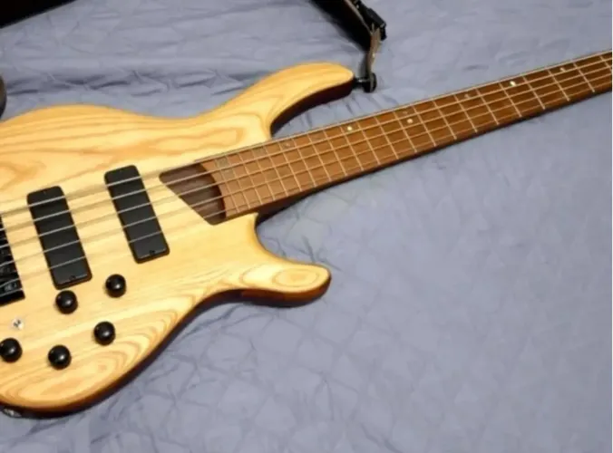 Cort B5 element
