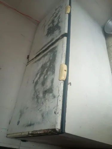 Freezer horizontal