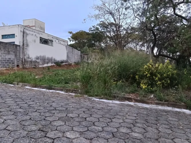 Vendo lote bairro floresta 