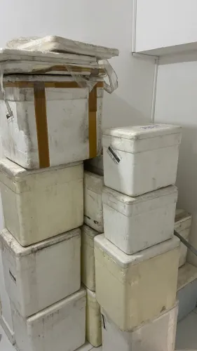 Caixas de isopor