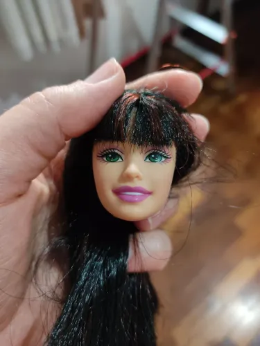 Cabeça Barbie Courtney (Diário da Barbie)