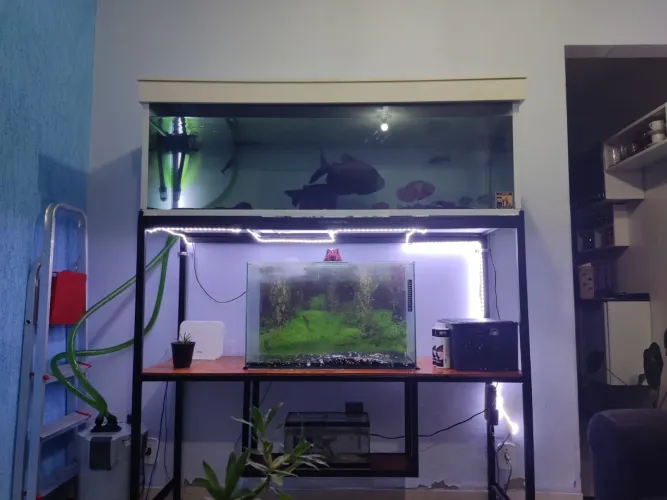 Aquário 1,50 x 50 x 40 e suporte para 3 aquários.
